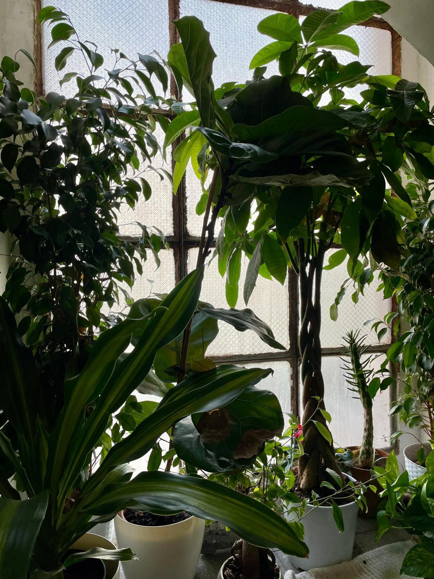 Lorenzo'S House Catania City Centre - Comfortable Large Apartment With 2 Bedrooms And 2 Baths, Close To Trains, Metro And Bus Station エクステリア 写真